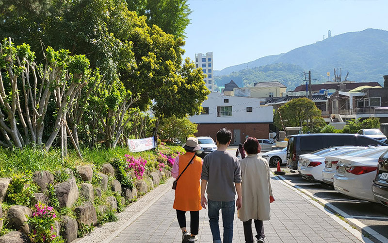 도도수영 축제 도슨트 투어