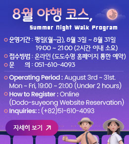 8월 야행 코스